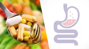 Supplements for Digestion